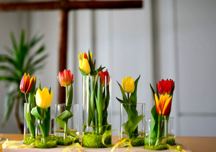 tulips-4895164_1920 Der Gottesdienst findet bei gutem Wetter draußen statt. Symbolfoto: Pixabay