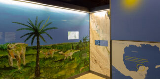 Ein Blick in die Ausstellung im Zeittunnel. Foto: Zeittunnel