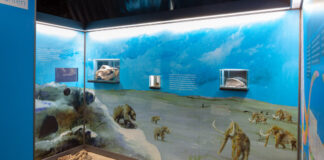 Die beleuchteten "Zeitfenster" der Dauerausstellung im Zeittunnel. Foto: Zeittunnel