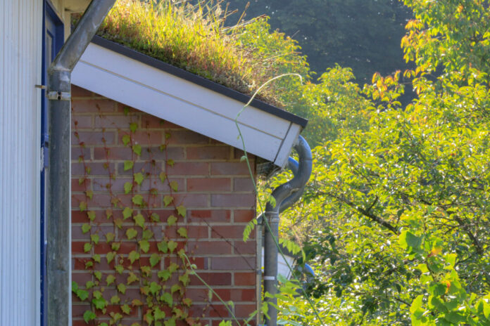 Mehr Grün in der Wohnumgebung kann an heißen Tagen helfen. Foto: Verbraucherzentrale NRW