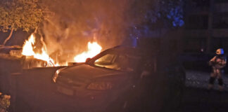 Unbekannte haben einen Müllcontainer in Monheim am Rhein in Brand gesetzt. Foto: Polizei