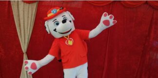 Die "Paw Patrol" gibt es als Puppentheater. Foto: Josef Tränklers Puppenbühne