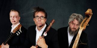 "Wildes Holz" gibt ein Crossover-Open-Air-Konzert auf der Sommerbühne. Foto: Band