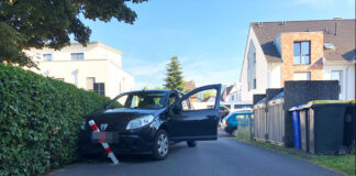Der Sandero blieb letztendlich an einem Poller stehen. Foto: Polizei