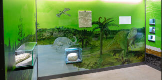 Ein Blick in die Ausstellung im Zeittunnel. Foto: Zeittunnel