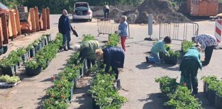 Die Frauen-Union führt regelmäßig Aktionen durch - hier bei einer Bepflanzung von Halbschalen, die später als "Blumenampeln" aufgehängt wurden. Foto: FU/Archiv