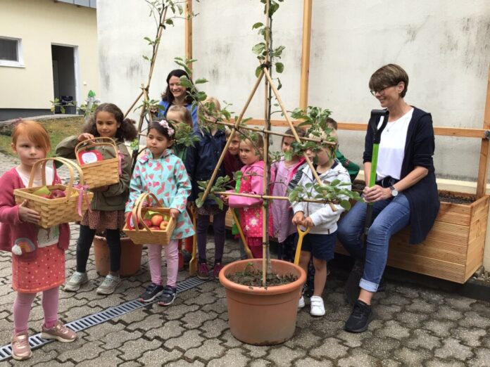 An der Velberter Kita St. Antonius warten die Kinder nach dem Pflanzen auf die Erntezeit. Foto: CES
