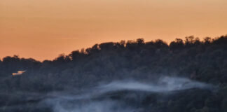 Die Rauchentwicklung über dem Wald. Foto: Feuerwehr Essen