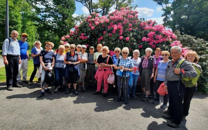 Für 22 Wandernde ging es nach Essen. Foto: SGV
