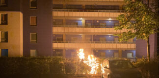 An der Brandenburger Allee hatten Unbekannte einen Altpapiercontainer angezündet. Hierbei wurde auch eine Hecke von den Flammen erfasst. An dem Auto entstand durch das schnelle Eingreifen der Feuerwehr aber nach ersten Erkenntnissen kein Schaden. Foto: Polizei