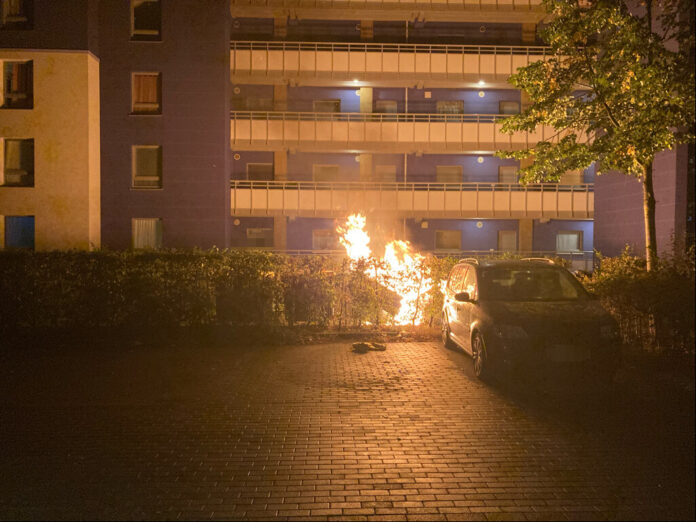 An der Brandenburger Allee hatten Unbekannte einen Altpapiercontainer angezündet. Hierbei wurde auch eine Hecke von den Flammen erfasst. An dem Auto entstand durch das schnelle Eingreifen der Feuerwehr aber nach ersten Erkenntnissen kein Schaden. Foto: Polizei