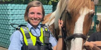 Mit der Polizei wartete das Pferd auf seine Reiterin. Foto: Polizei