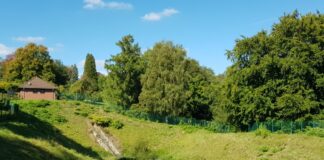 DIe Stadtwerke arbeiten am Rückhaltebecken. Foto: WSW