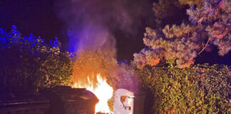 Offene Flammen schlugen aus dem Papiercontainer. Foto: Polizei