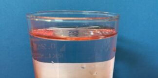 Kinder lernen bei dem Workshop Wissenswertes über Wasser. Foto: Zeittunnel
