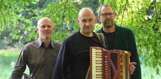 Das Trio Tango Transit spielt Jazz. Foto: Detlef Kinsler