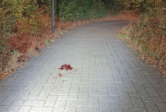 Die Unfallstelle am Verbindungsweg der Hitdorfer Straße. Foto: Polizei
