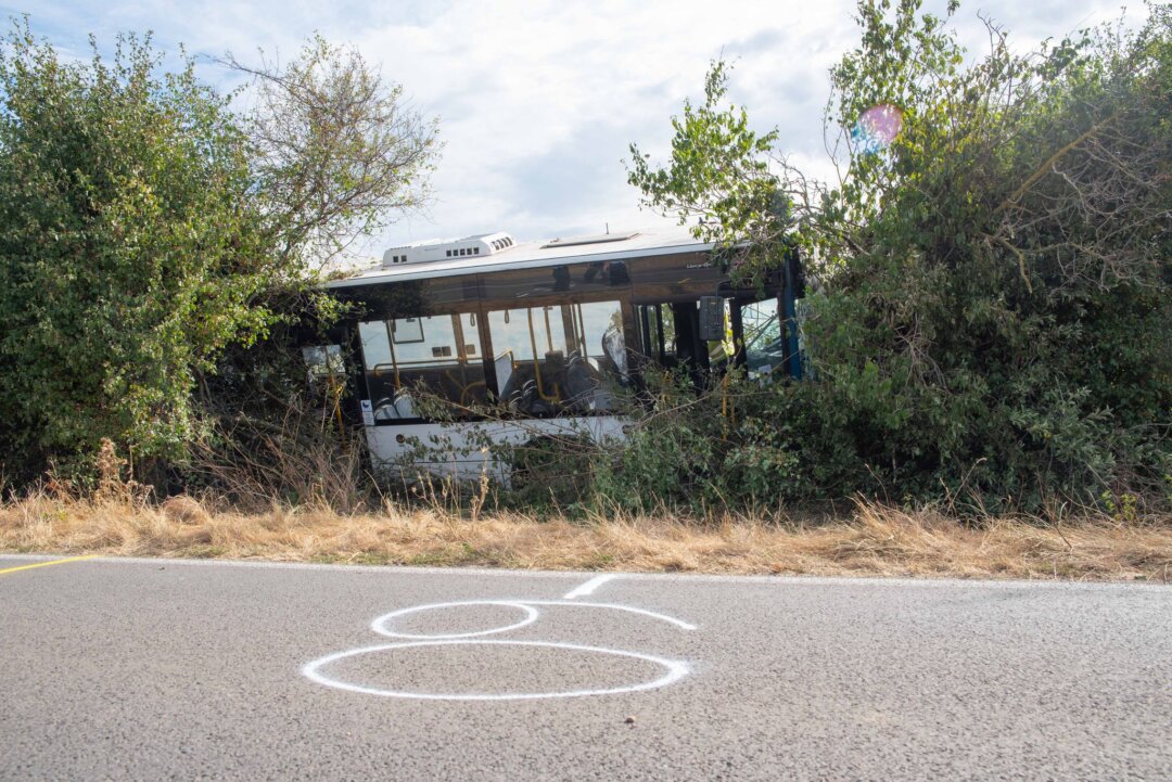 Linienbus kommt von Landstraße ab Beim Ausweichen vor einem entgegenkommenden Auto ist ein Linienbus in einem Gebüsch gelandet.