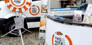 Am ALFA-Mobil-Stand informieren Mitarbeitende interessierte Bürger und Menschen mit Lese- und Schreibschwierigkeiten. Foto: ALFA-Mobil
