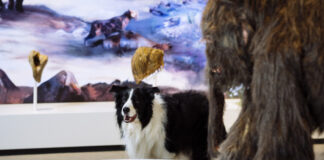 „DoggyTour“ und „DoggyDay“ finden im Neanderthal-Museum wieder statt. Foto: Museum