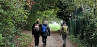 Mettmann-Sport bietet eine geführte Wanderung an. Foto: ME-Sport