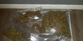 Die Polizei stellte rund 600 Gramm Marihuana sicher. Foto: Polizei