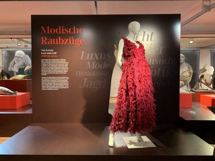 „Modische Raubzüge“ läuft noch bis zum 27. November. Foto: Jürgen Hoffmann/LVR-Museum