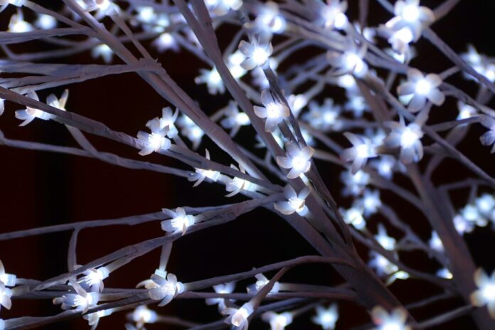 Lämpchen hängen an einem Baum. Foto: pixabay