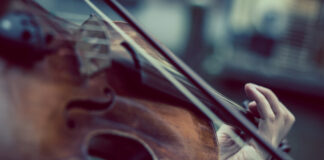 Eine Violine ist zu sehen. Foto: pixabay