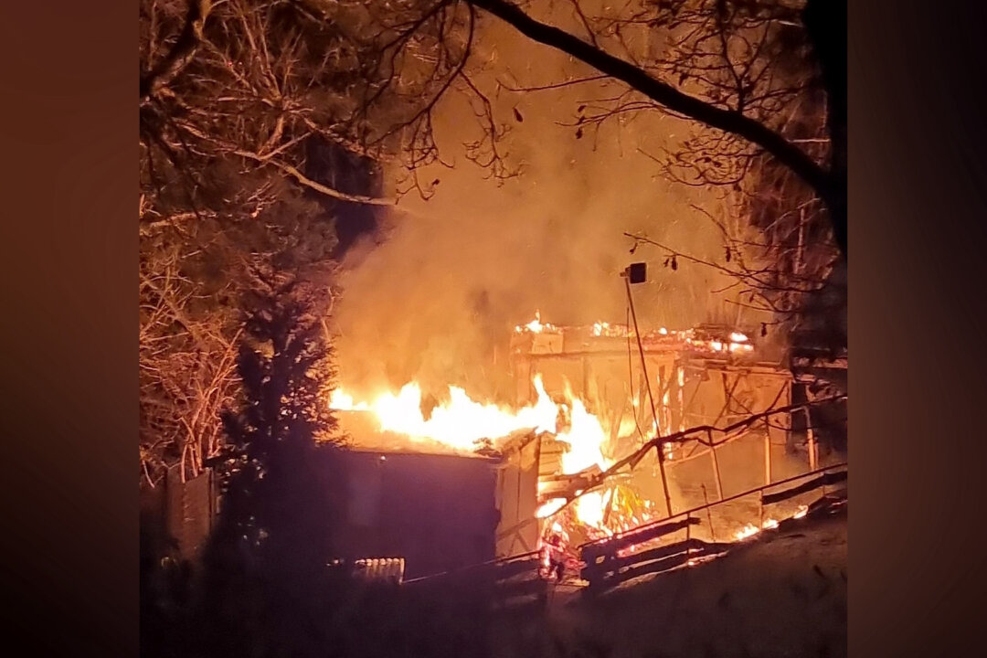 Das Vereinsheim eines Hundesportvereins in Velbert ist durch ein Feuer schwer beschädigt worden. Foto: Polizei