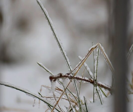 Extremwetter in Wülfrath: “Bitte schützen Sie Ihre Kinder” Es bleibt frostig im Kreis Mettmann. Foto: Volkmann
