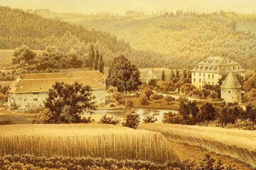 Eine Lithografie zeigt Schloss Hardenberg mit Vorburg Ende des 19. Jahrhunderts. Quelle: Geschichtsverein