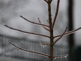 Wetter im Kreis Mettmann: Doppel-Warnung für Heiligabend Die Temperaturen sind derzeit frostig. Foto: Volkmann