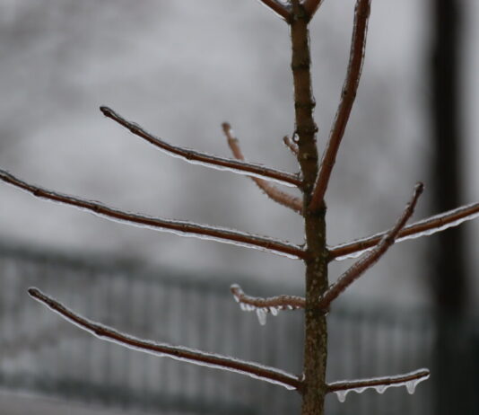 Wetter im Kreis Mettmann: Doppel-Warnung für Heiligabend Die Temperaturen sind derzeit frostig. Foto: Volkmann