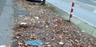 Müll und Laubreste auf dem Weg. Foto: SPD