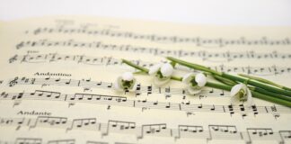 Musik verbindet die Menschen. Symbolfoto: Pixabay