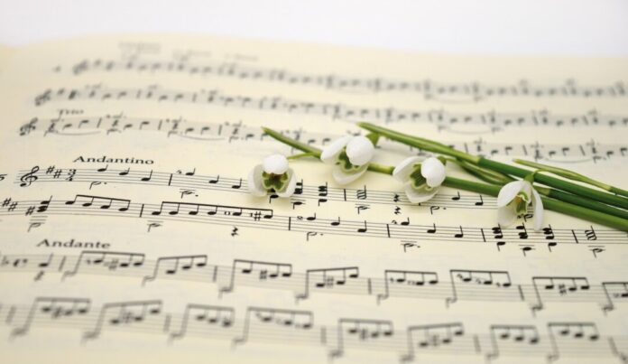 Musik verbindet die Menschen. Symbolfoto: Pixabay
