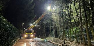 Einen Einsatz in der Waldseestraße musste die Feuerwehr bewältigen. Foto: FW Ratingen