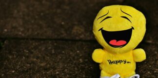 Eine Gute-Laune-Plüschfigur. Foto: pixabay