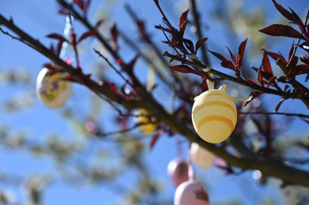 An Ostern können Kinder im Freien auf Eiersuche gehen. Foto: Mathias Kehren