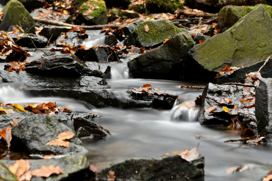 Die Wandertour verläuft entlang idyllischer Natur im Niederbergischen Land. Foto: Mathias Kehren