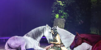 "Geheimnis der Ewigkeit" lautet der Titel der neuen Cavalluna-Show. Foto: Cavalluna