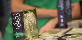 Unter anderem Brettspiele beschäftigen sich mit Klimawandel, Klimaschutz und dem Ökosystem der Erde. Foto: Volkmann