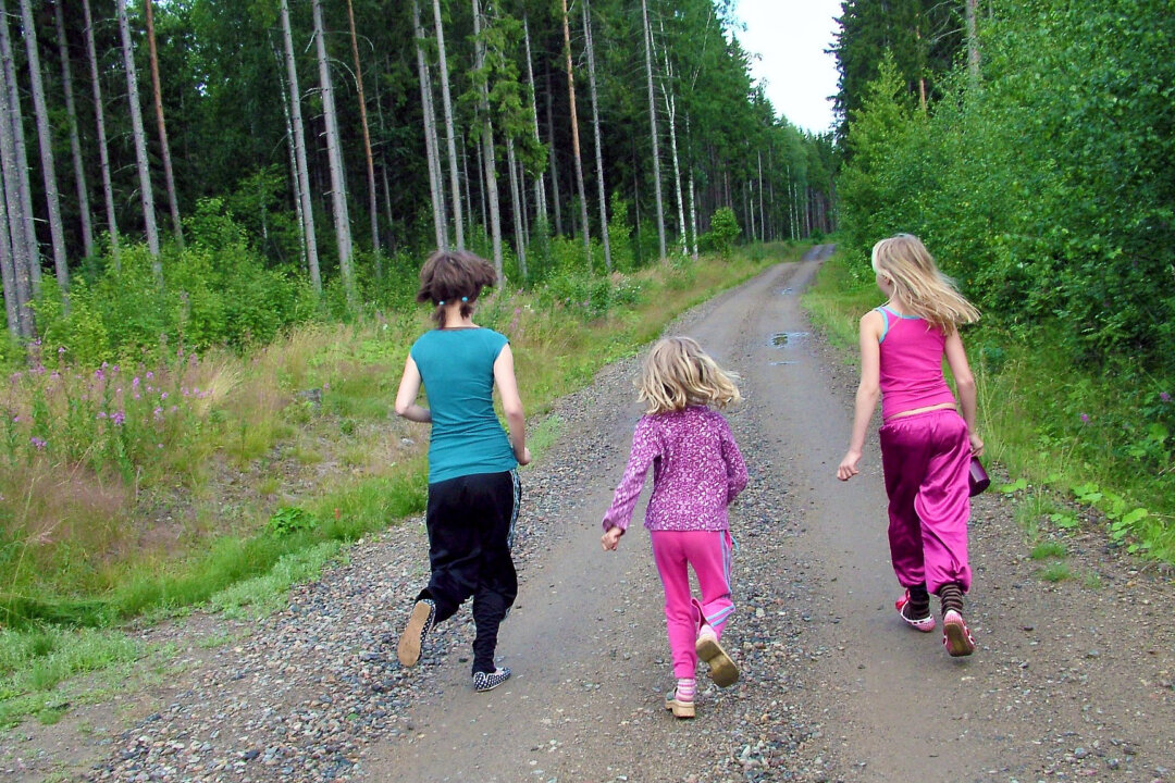 Kinder können im Wald auf Entdeckungsreise gehen. Foto: Pixabay
