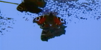 Annebarbe Kau, Videostill aus „Blau“, 1997, © VG Bild-Kunst, Bonn 2023