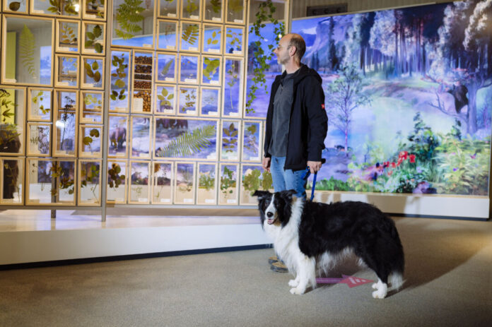 Mit dem Hund geht es wieder durch die Dauerausstellung. Foto: Neanderthal-Museum Mit dem Hund geht es wieder durch die Dauerausstellung. Foto: Neanderthal-Museum