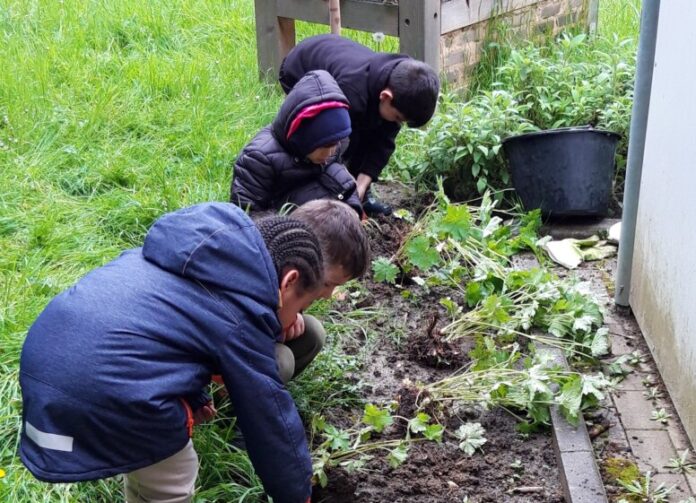 Kinder der Kita Breslauer Straße pflanzten jetzt geeignete Futterpflanzen für Bienen nach. Foto: Stadt Ratingen