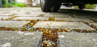 Etwas Grün am Beton kann für eine Reduzierung von Hitze an heißen Tagen sorgen. Foto: Verbraucherzentrale NRW