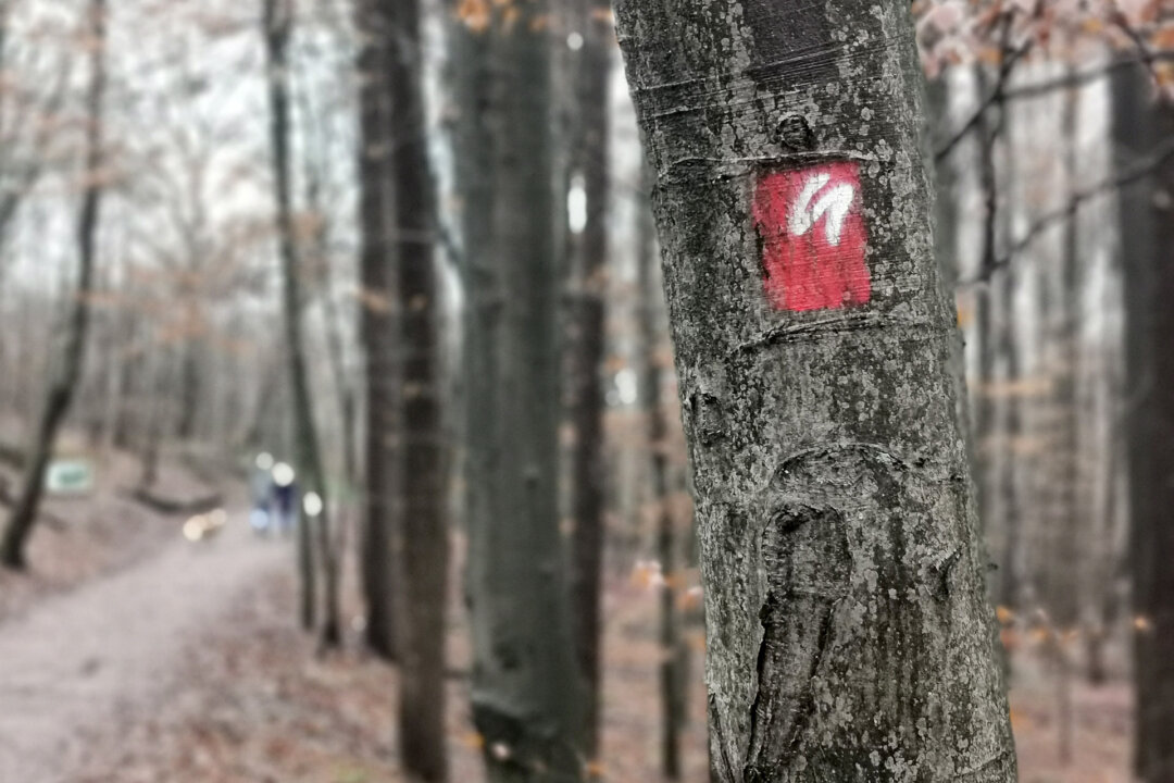 Geführte Wanderungen durch die Region werden angeboten. Foto: Mathias Kehren