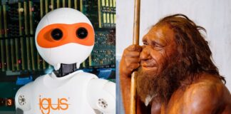 Per Online-Führung geht es durch die Ausstellung. Foto: Neanderthal-Museum